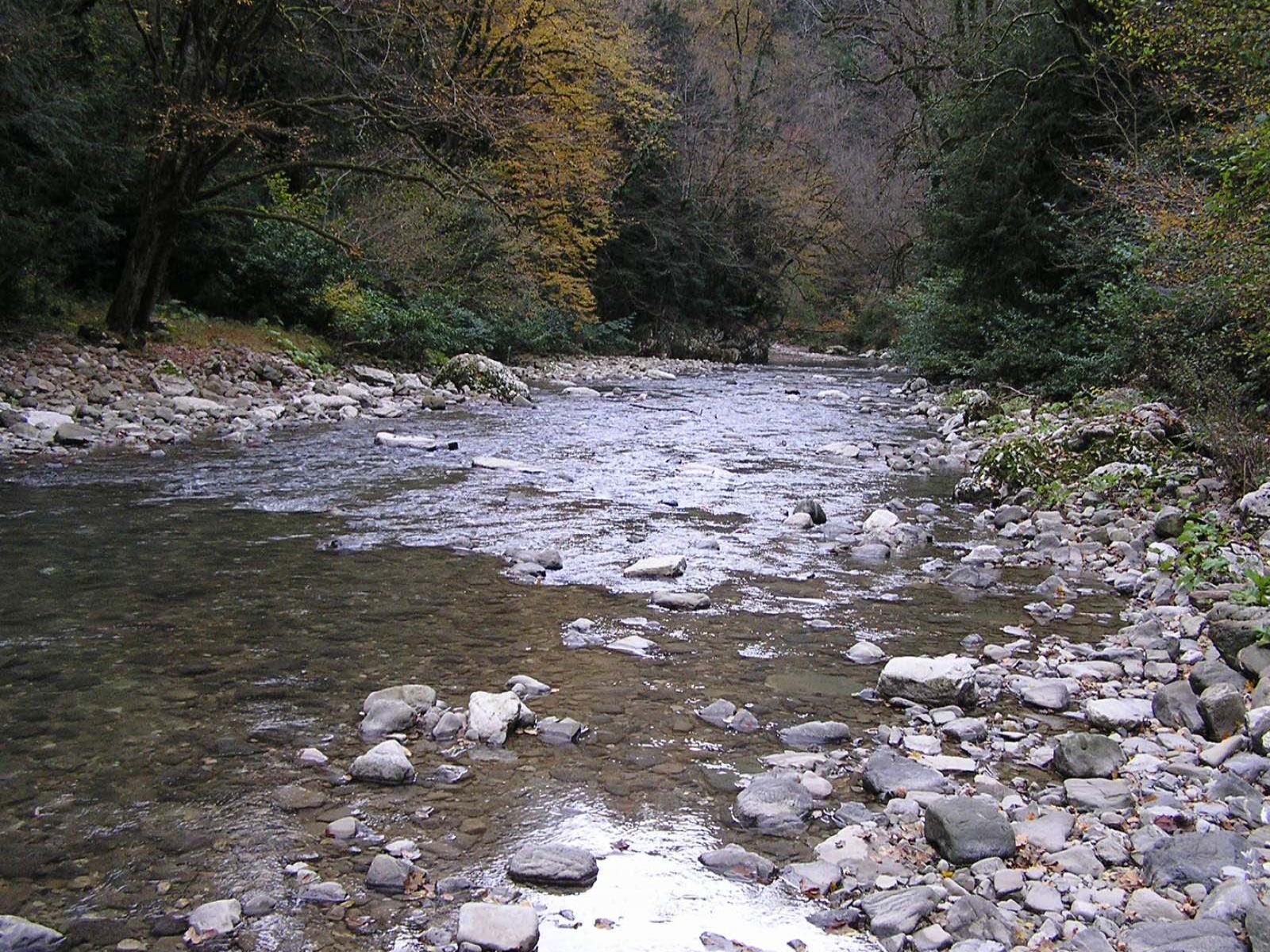 Сочи фото, лечение адлер, Черное Море