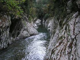 все пансионаты черного моря, гагры фото, все пансионаты черного моря